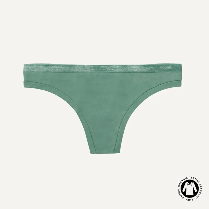 Organic Cotton Low-Rise Thong in Willow