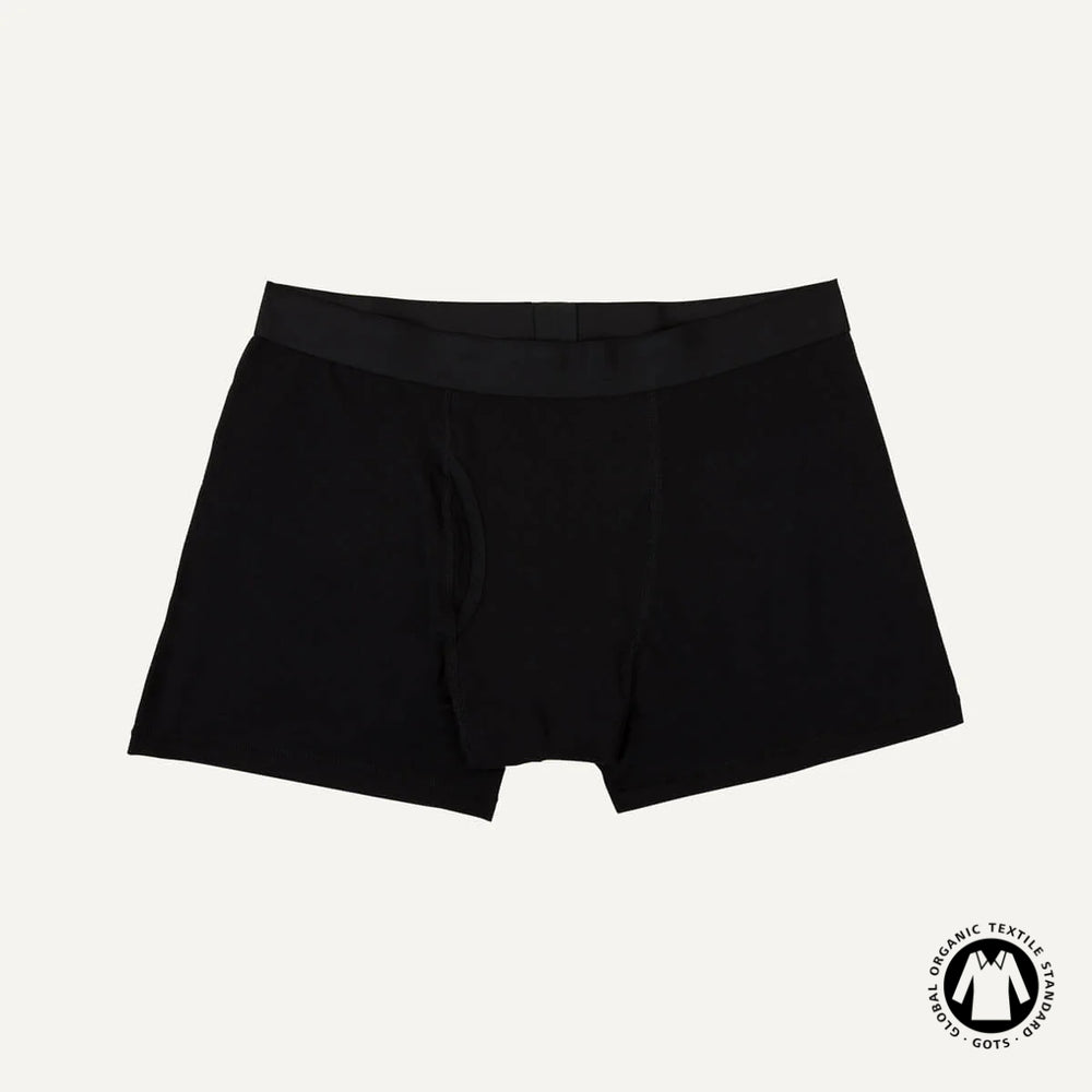 Organic Cotton Men's Boxer Brief in Carbon