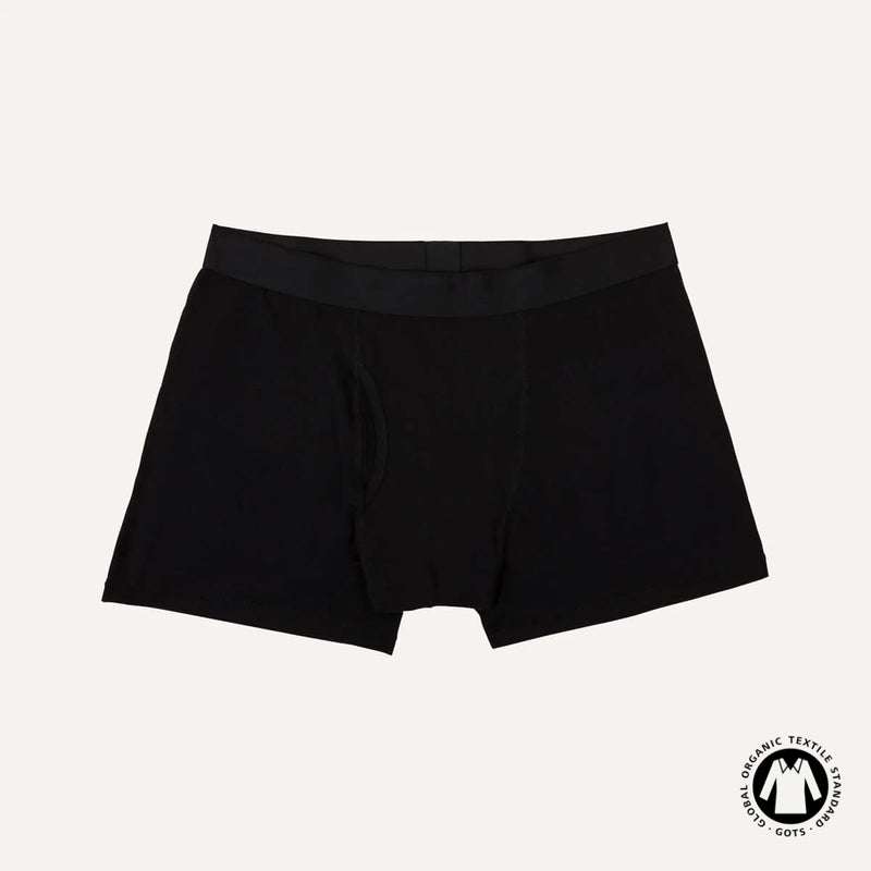 Organic Cotton Men's Boxer Brief in Carbon