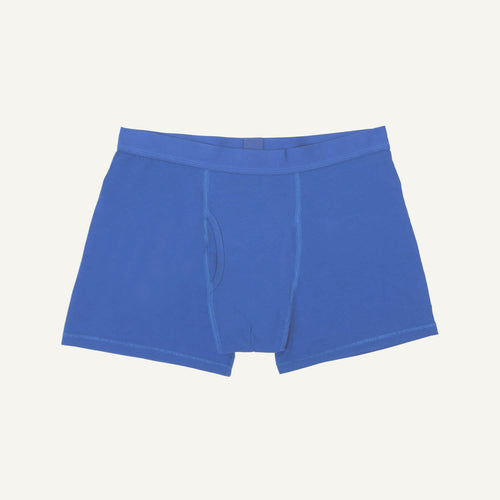 Organic Cotton Men's Boxer Brief in Gale