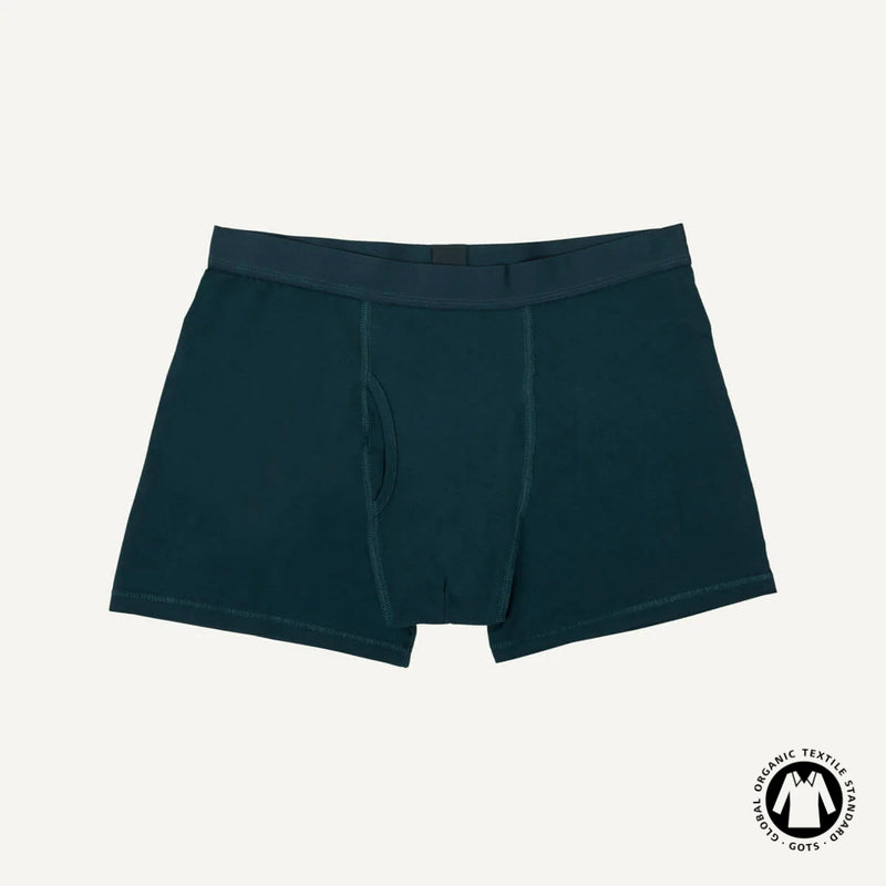Organic Cotton Men's Boxer Brief in Meridian
